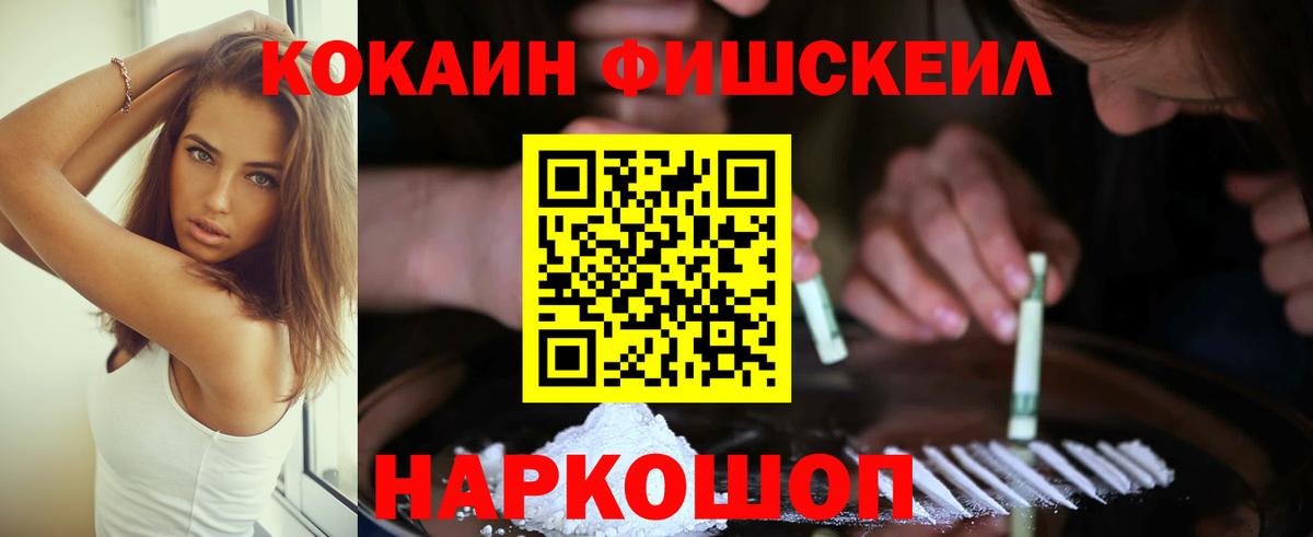 COCAIN Fish Scale Гай