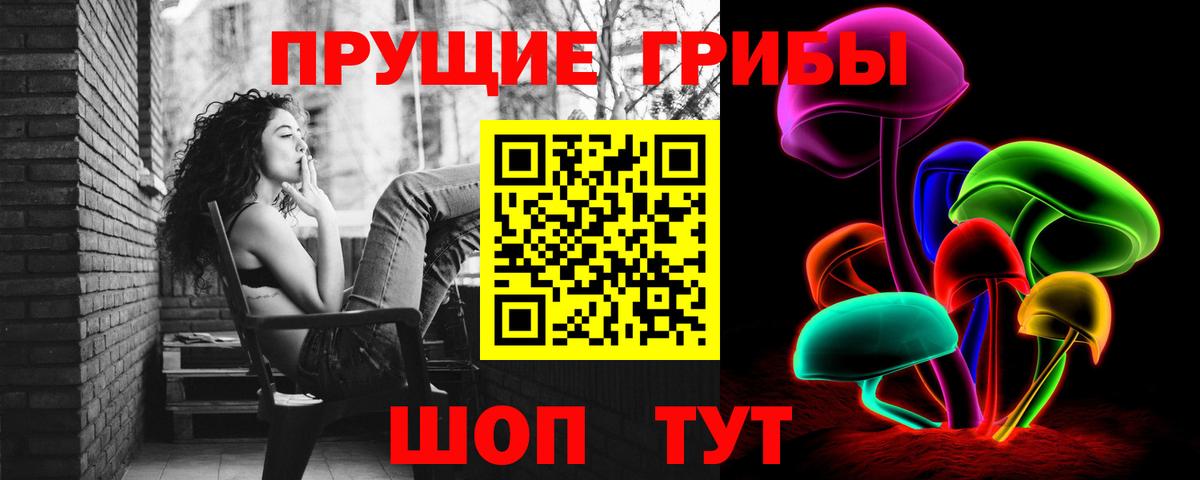 Гай  Галлюциногенные грибы GOLDEN TEACHER  Вход с VPN  Псилоцибиновые грибы мухоморы 